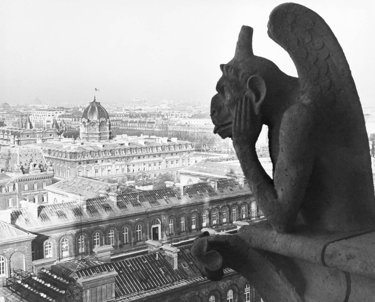 Gargoyle on Notre Dame Cathedral