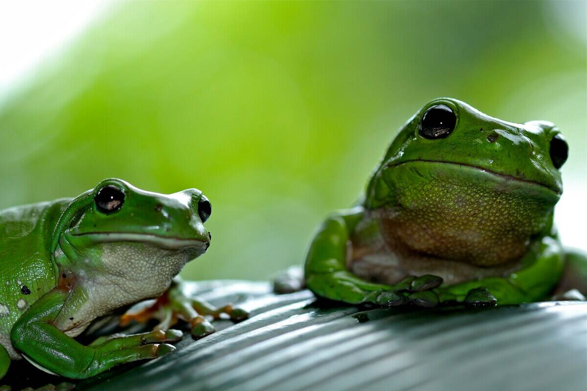 gary-tresize-MlJ4TeespJU-unsplash