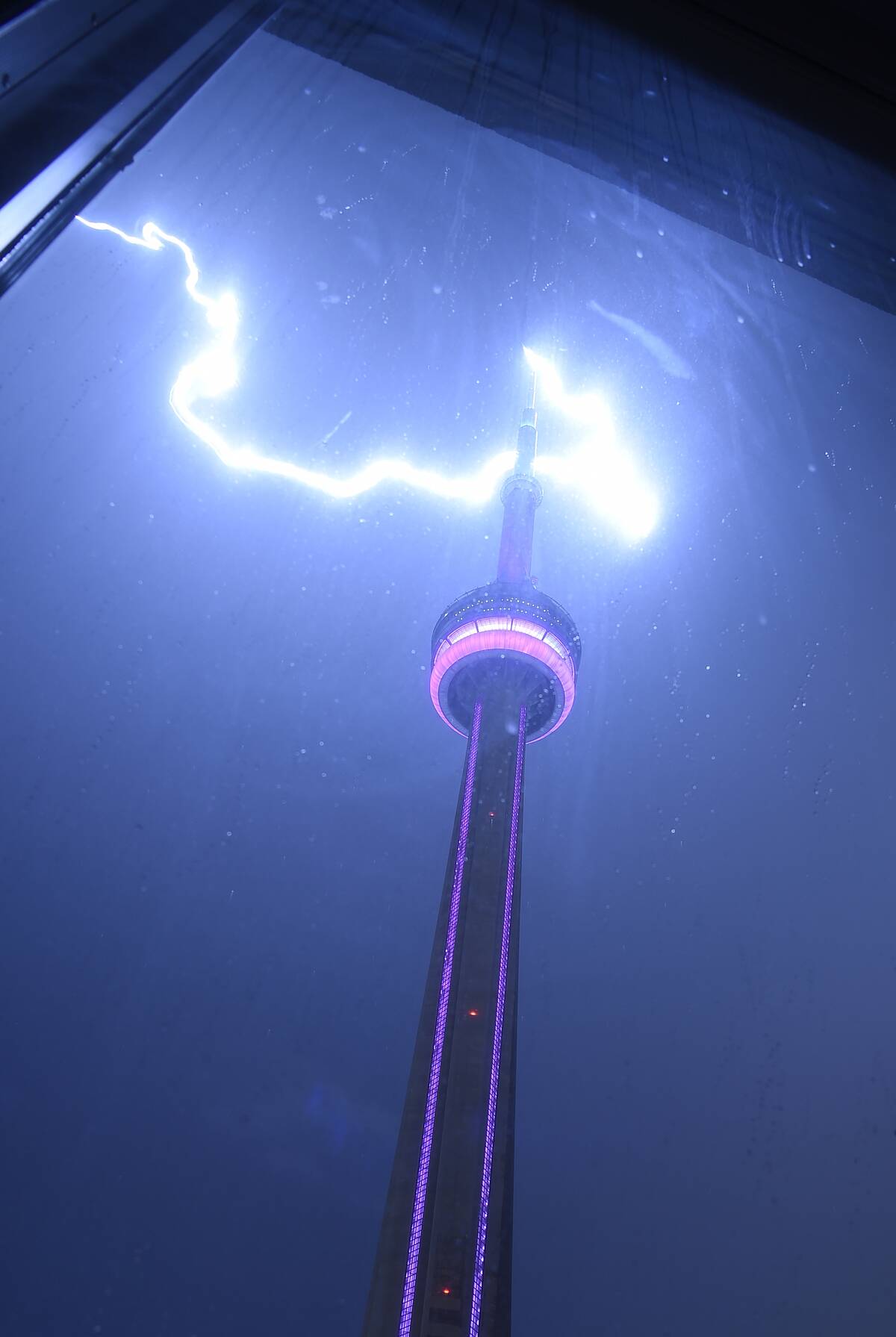 General Atmosphere At The 2014 Toronto International Film Festival