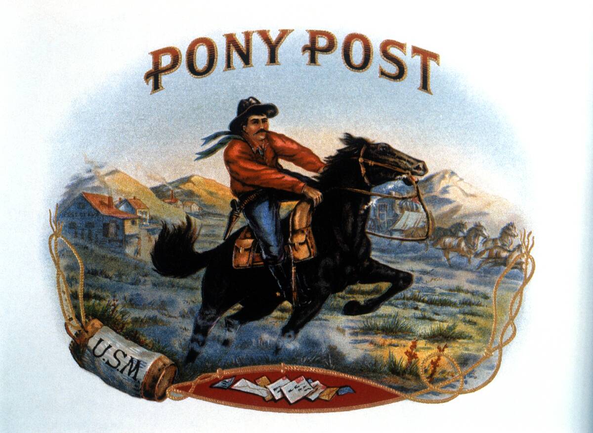Horse Animal Pony Express Courier