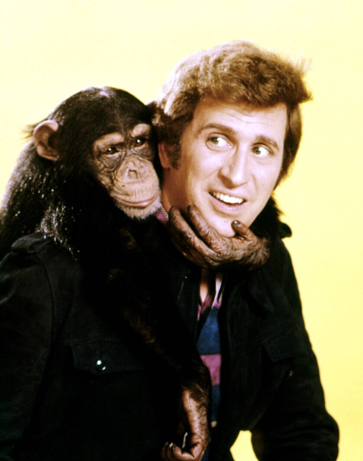 me-and-the-chimp_DXZe6W