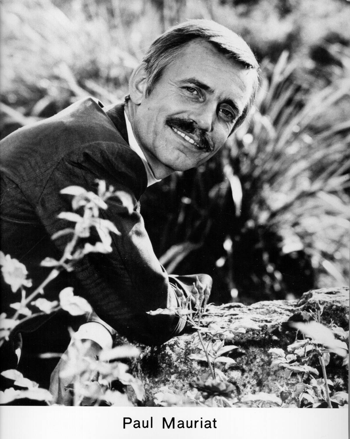 Photo of Paul Mauriat