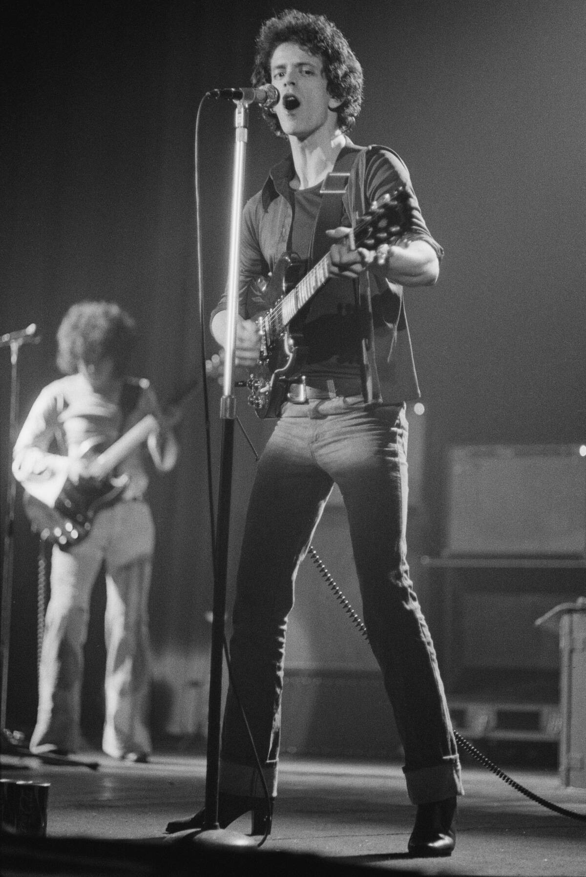 Rock 'n' Roll Animal