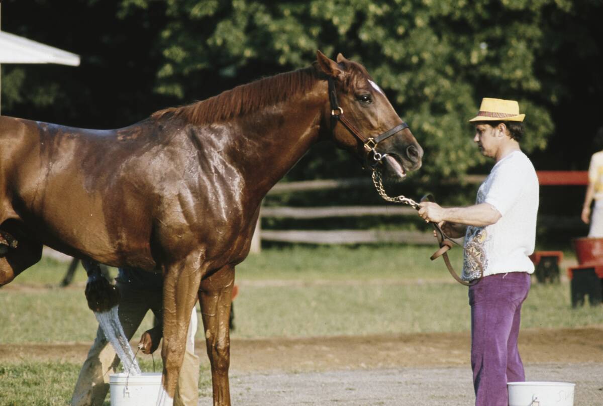 Secretariat, American Racehorse