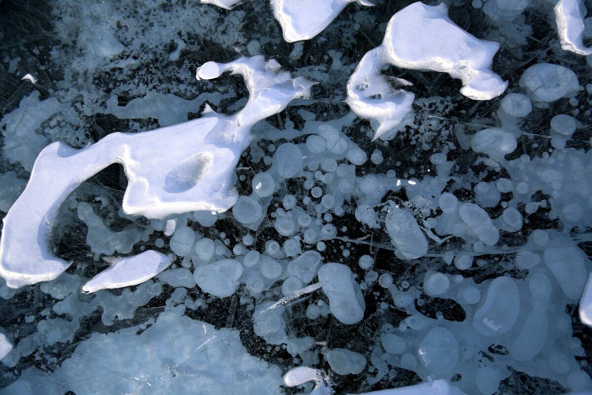 Views of frozen Abraham Lake in Alberta