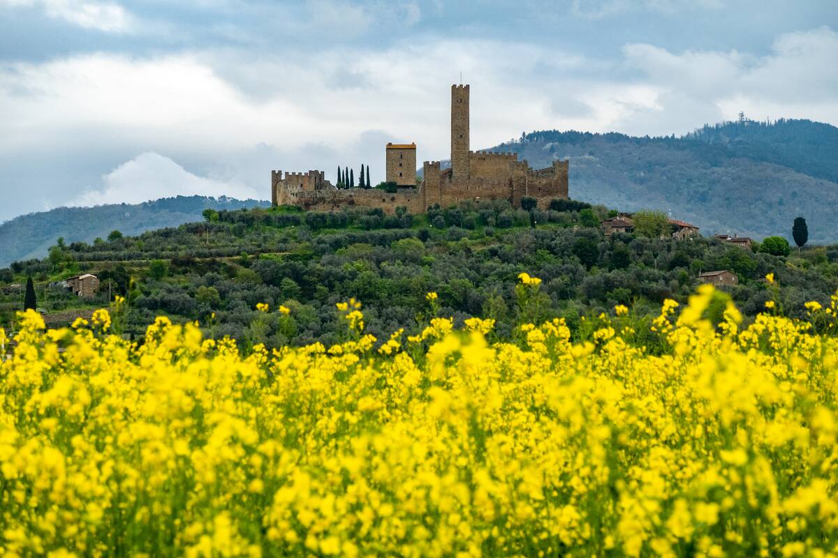 Views Of Montecchio, Italy