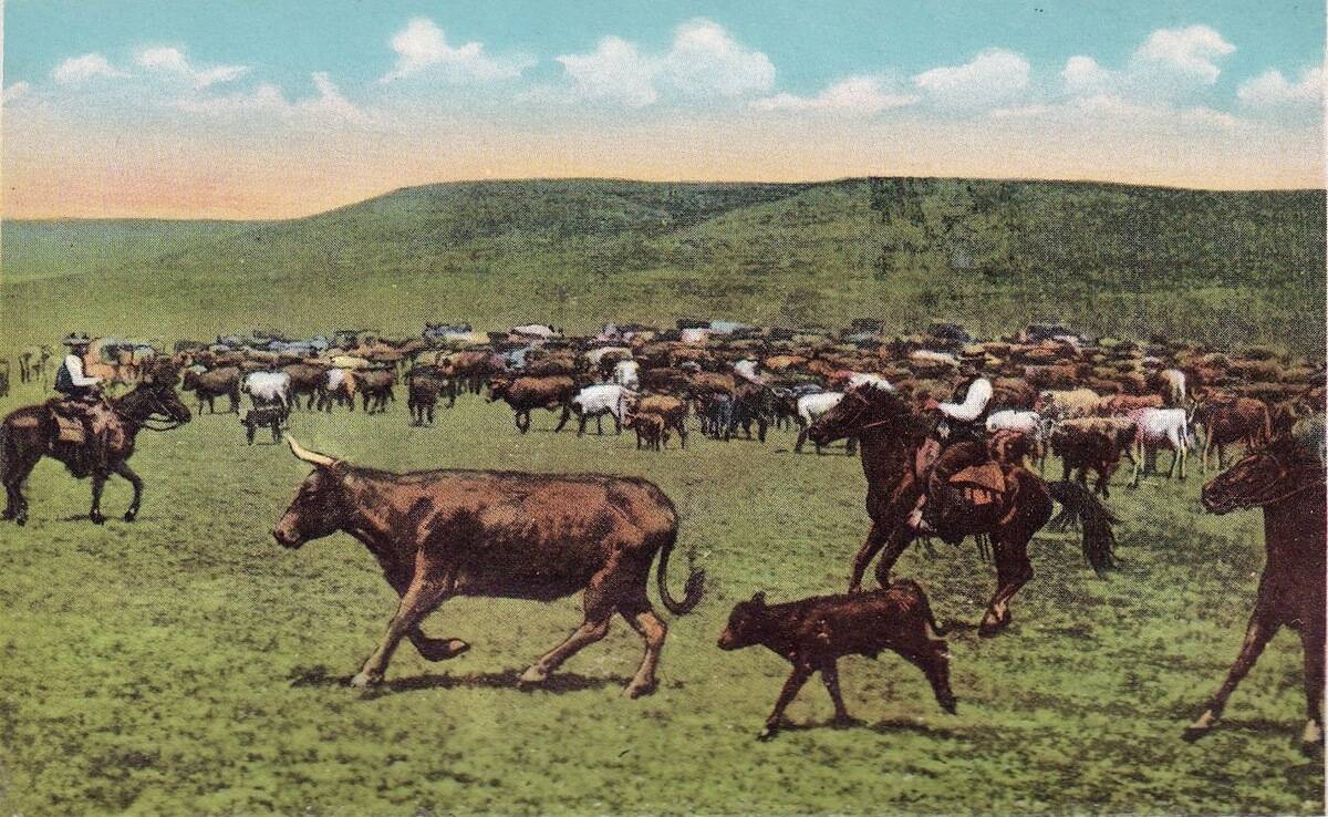 Vintage souvenir postcard, Cowboys on the Range, Cowboy and Indian Life of the Great West series, ca 1942