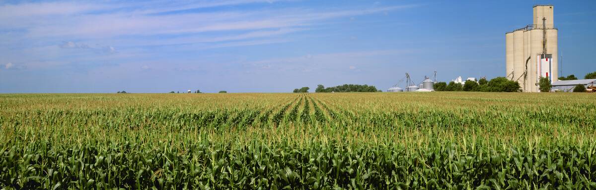 Agriculture