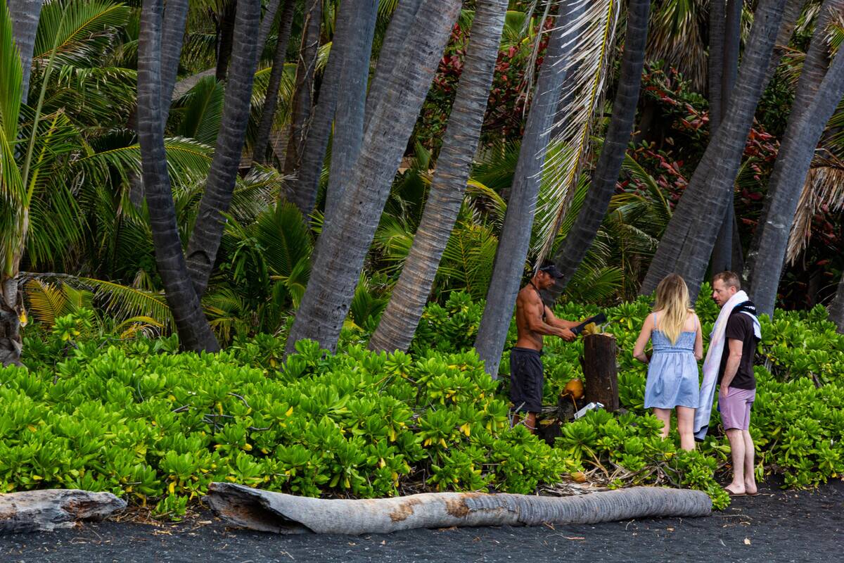 Coconut Vendors at Punaluu Black Sand Beach - one of the...