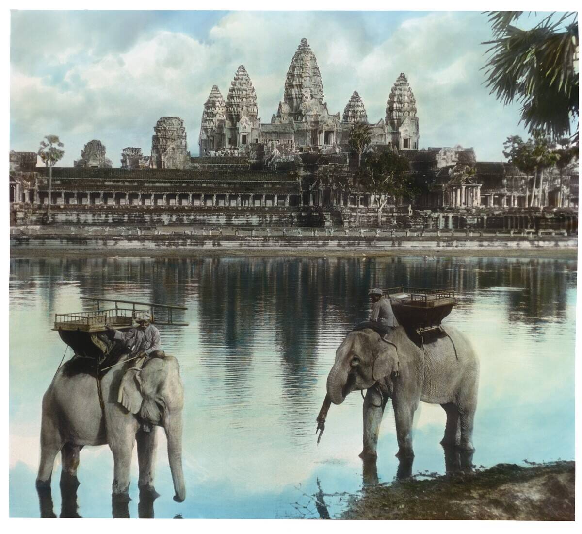 Elephants At Angkor Wat