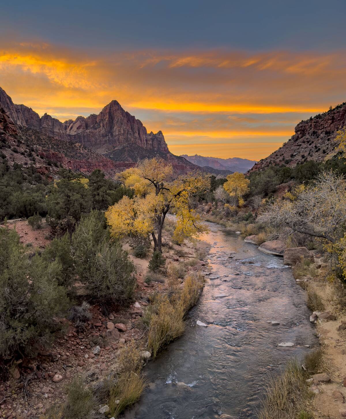 Exploring Autumn in Utah's Zion National Park