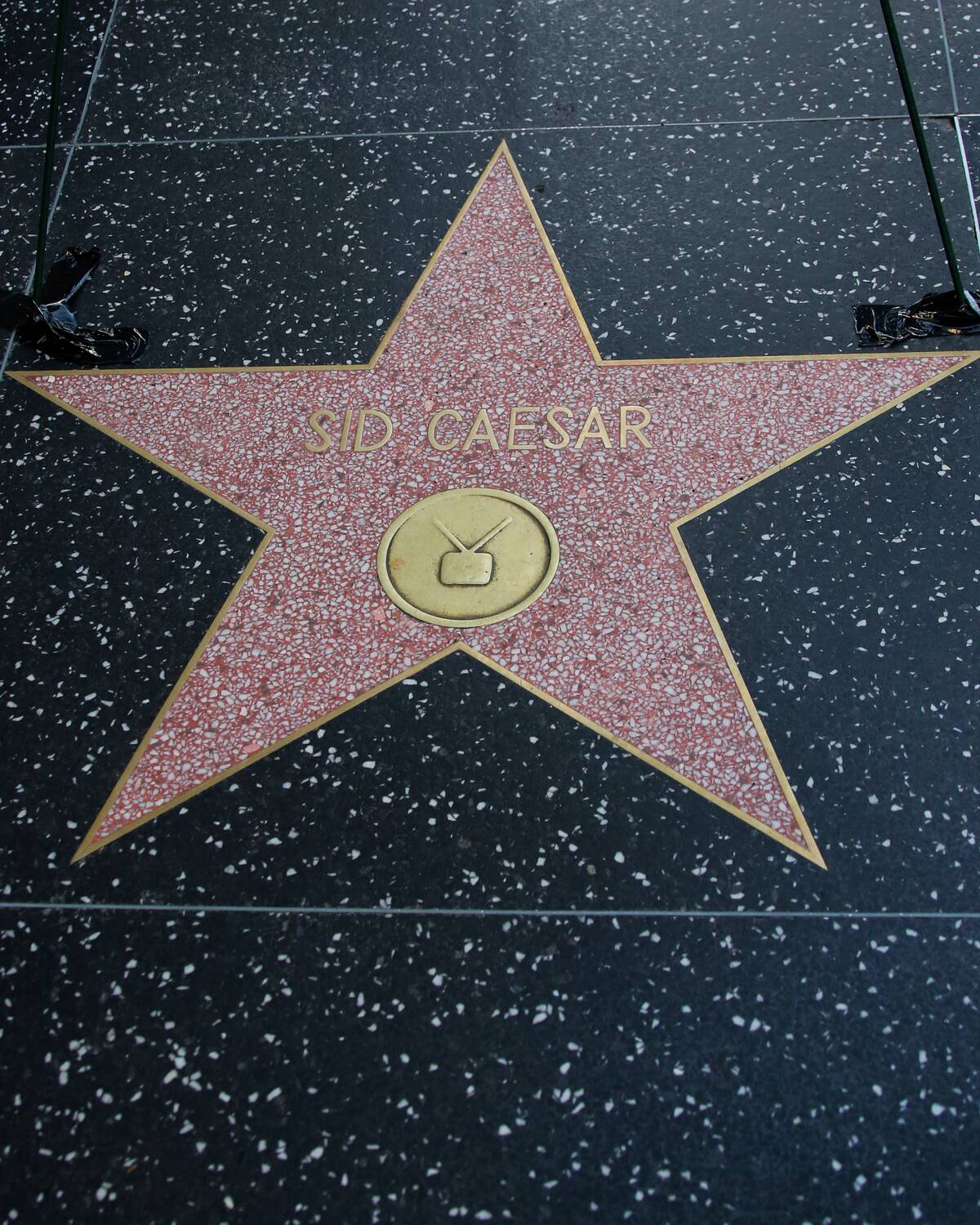 Flowers Placed On The Hollywood Walk Of Fame Star In Memory Of Sid Caesar