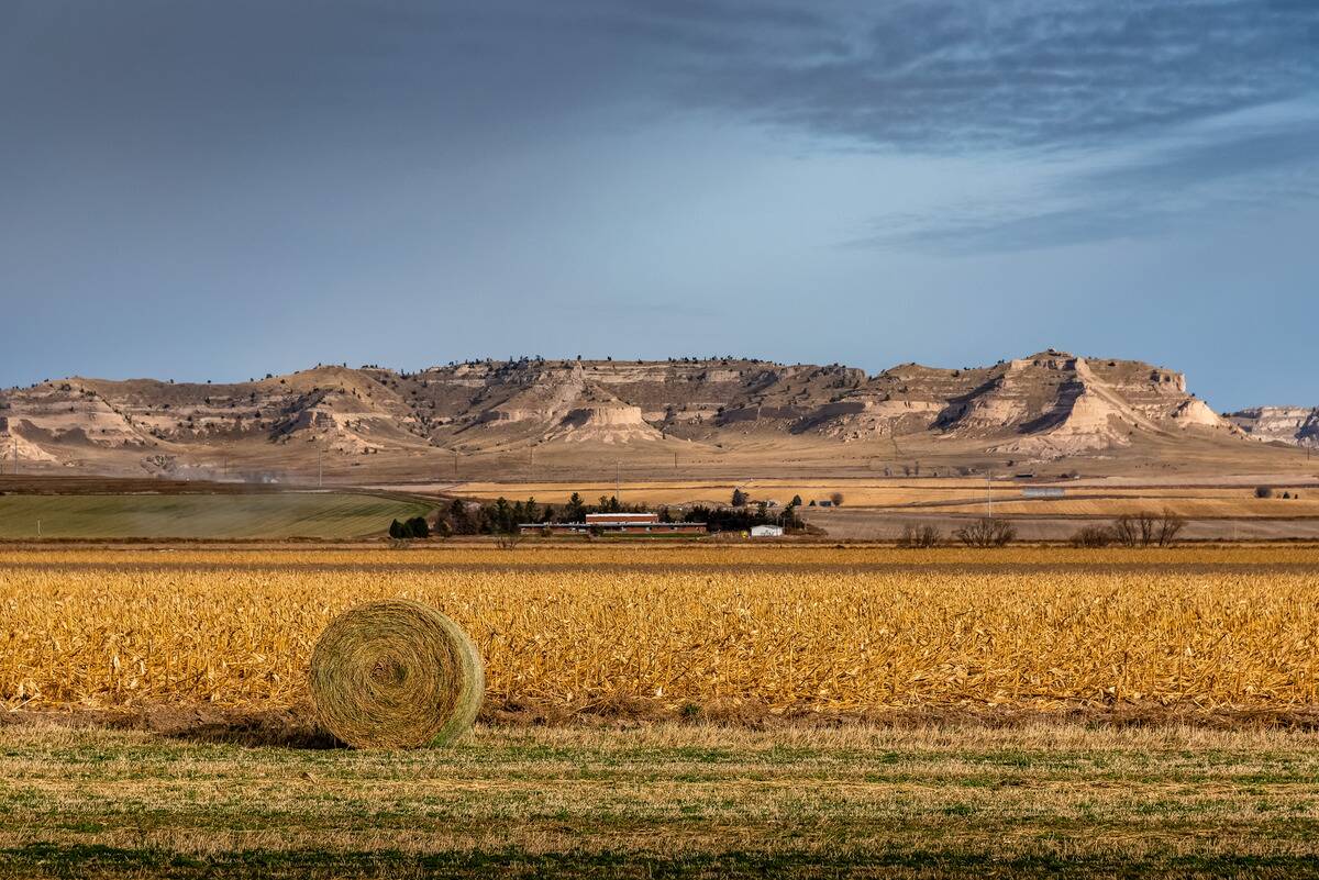 Hay bale on a harvested field