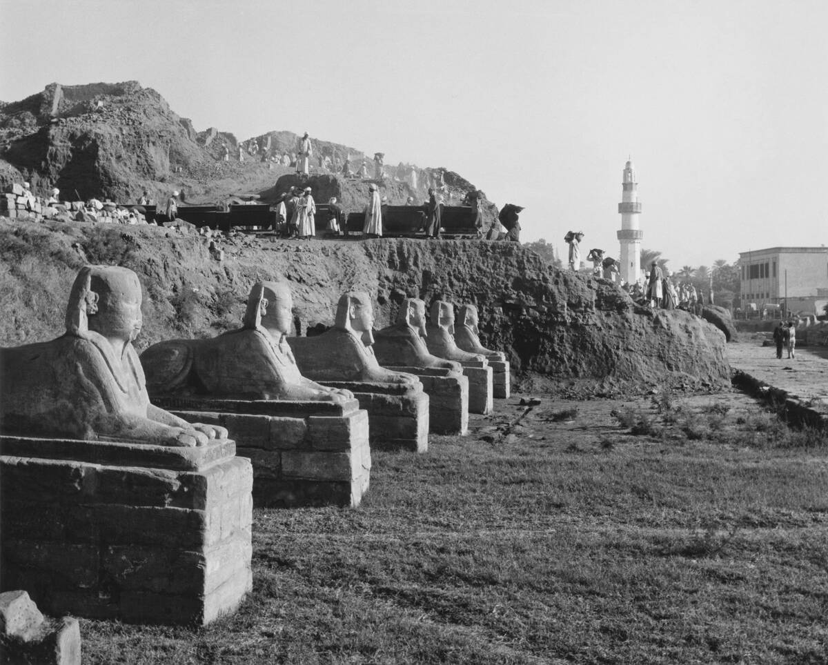 Luxor Temple Sphinxes