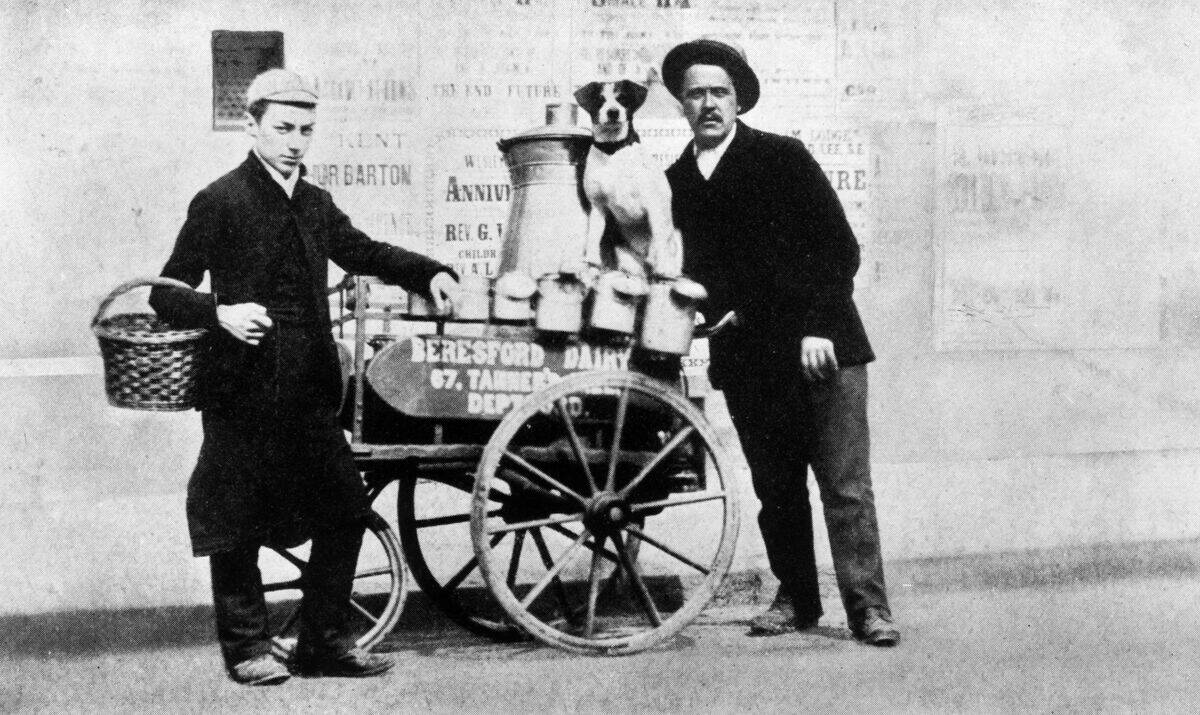 Milkman
