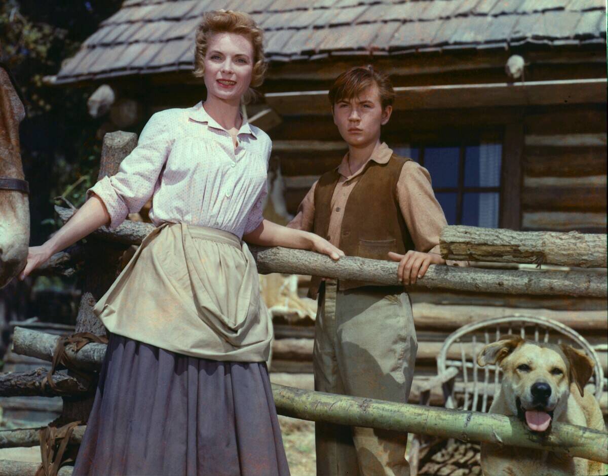 old-yeller_g2FErm (1)