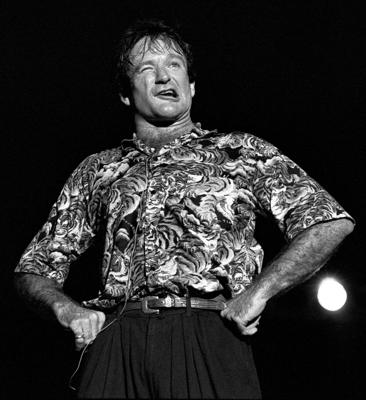 Robin Williams At Chastain Park Amphitheater