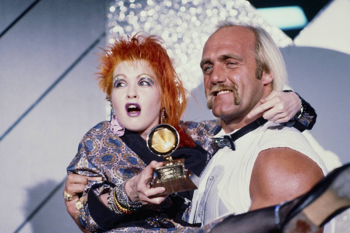 The 27th Annual Grammy Awards
