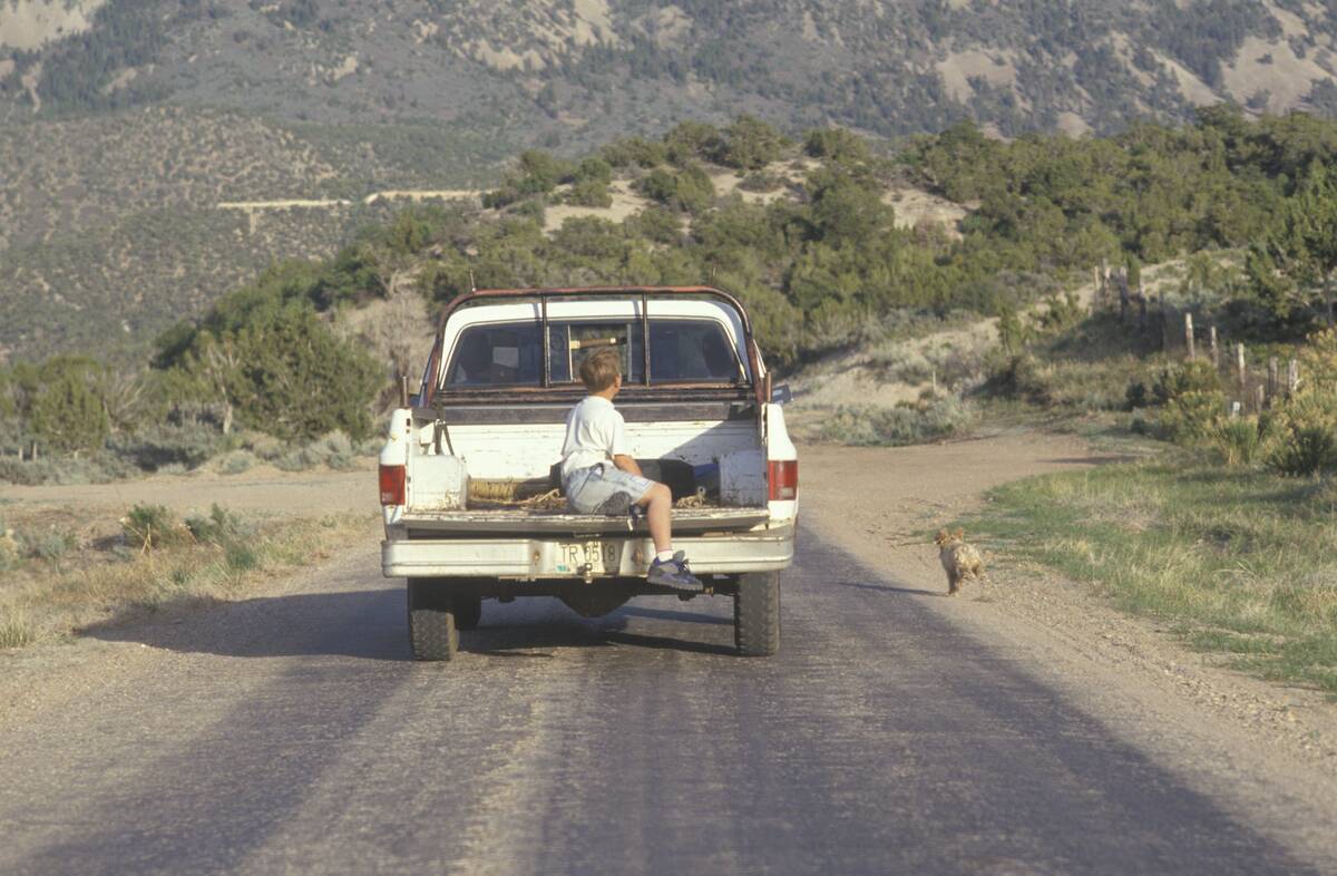 A boy in the back of a pickup truck chasing a dog in the NM desert