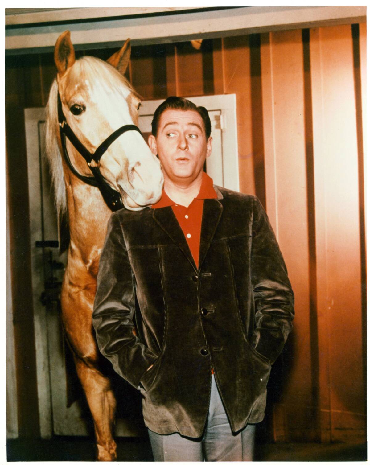 Alan Young In 'Mister Ed'