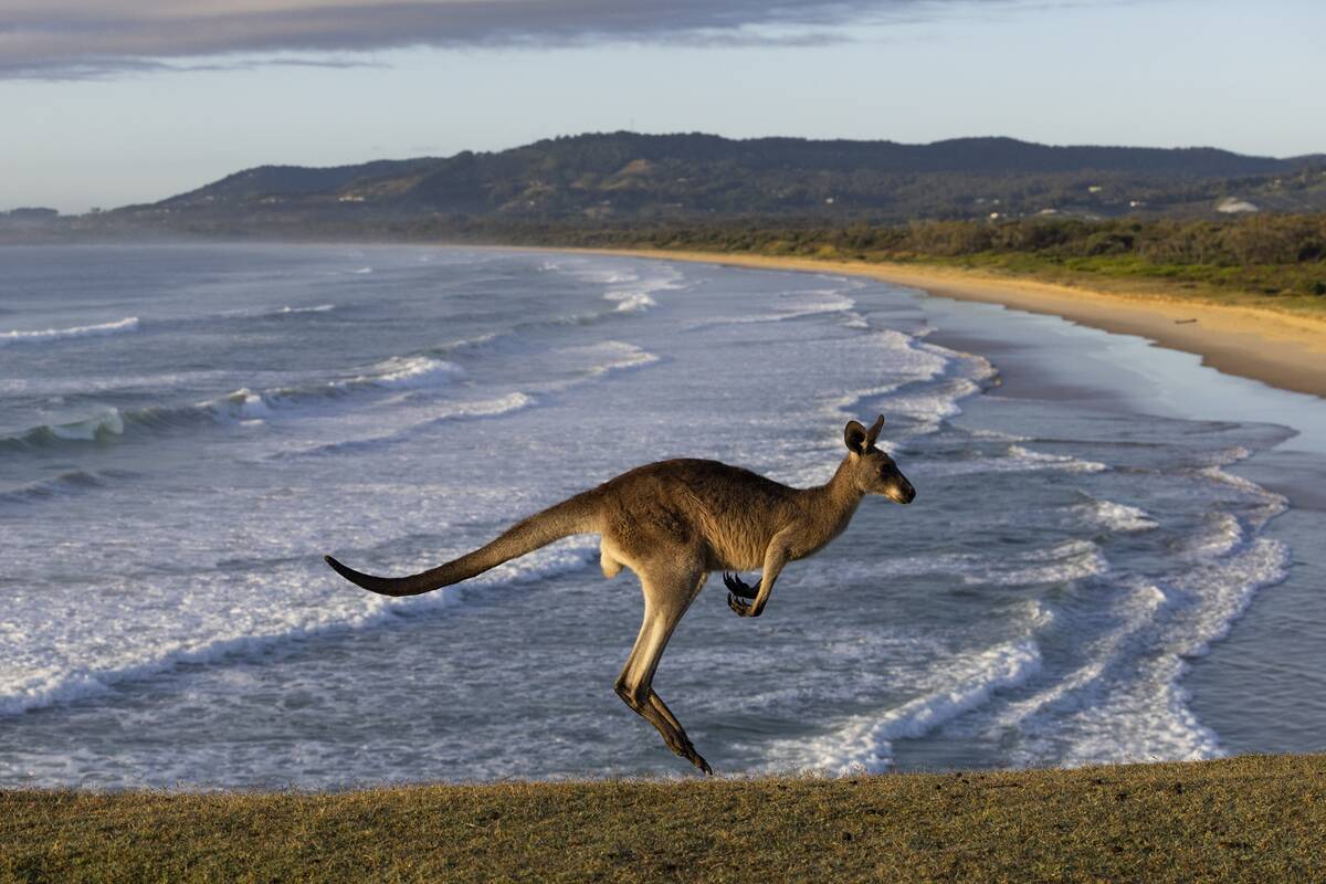 Australia's East Coast Gets Into Summer Mode