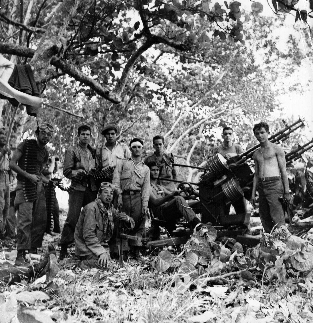 Castro's Artillery