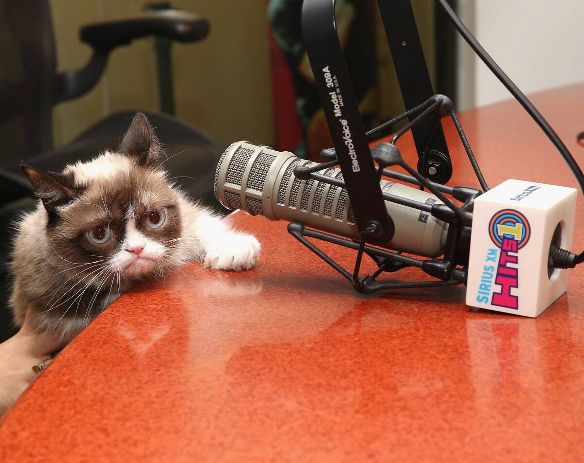 Celebrities Visit SiriusXM Studios - October 9, 2015