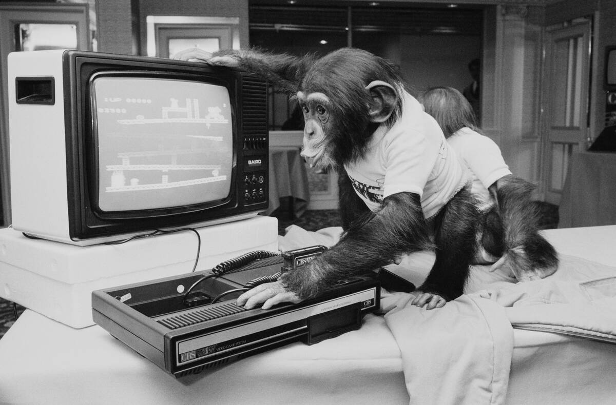 Chimp with a ColecoVision Console