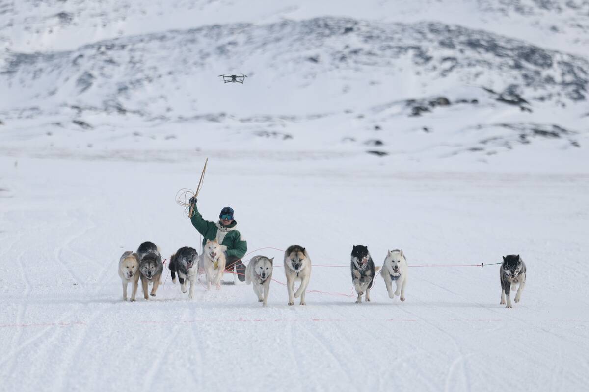Daily Life In Greenland, The Autonomous Danish Territory Coveted By Trump