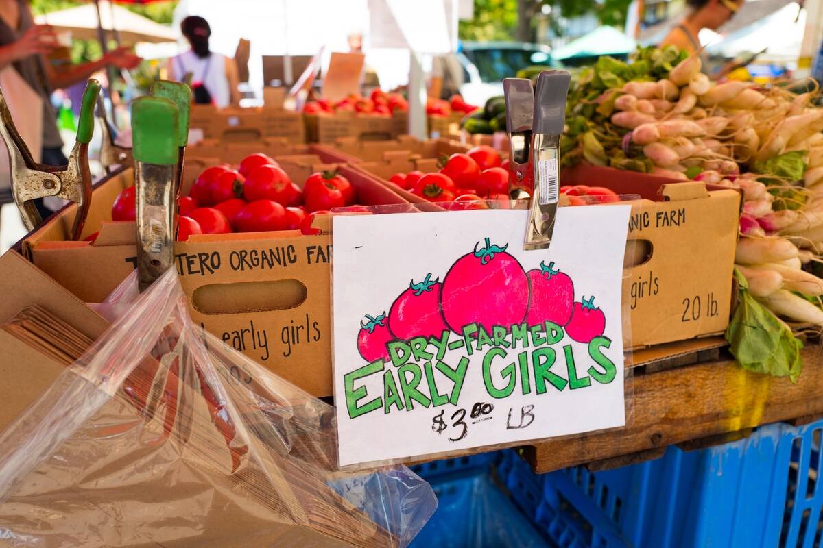 Dry Farmed Tomatoes