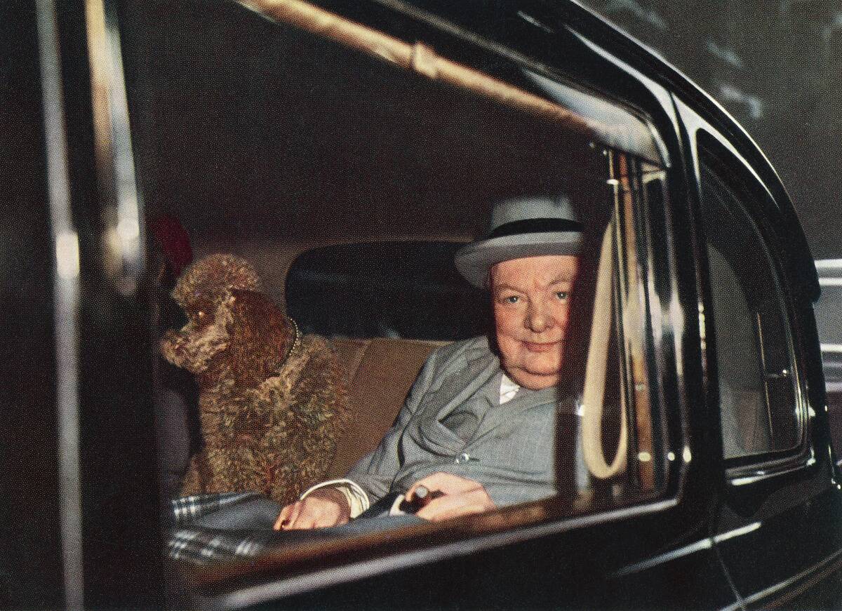 EDITORIAL Winston Churchill, seen here with his pet poodle Rufus II
