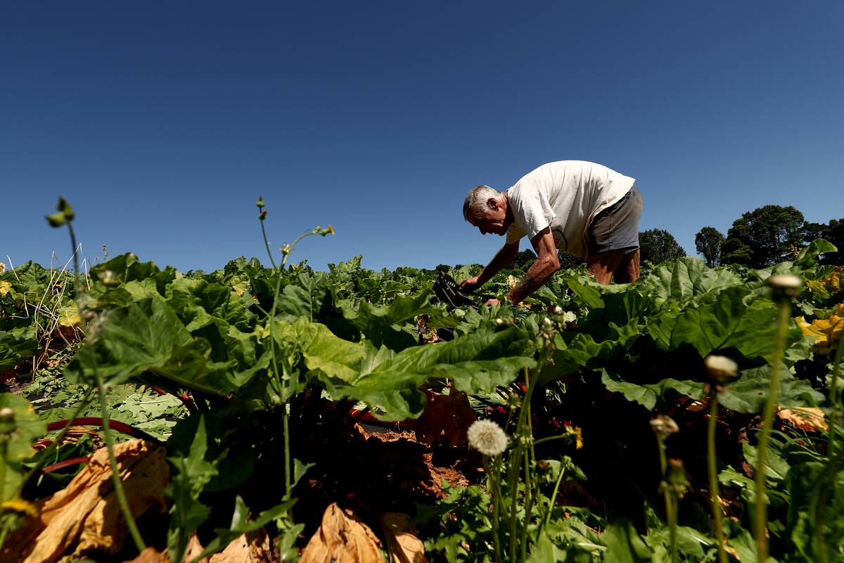 Farm-to-Table Operations at Moonacres