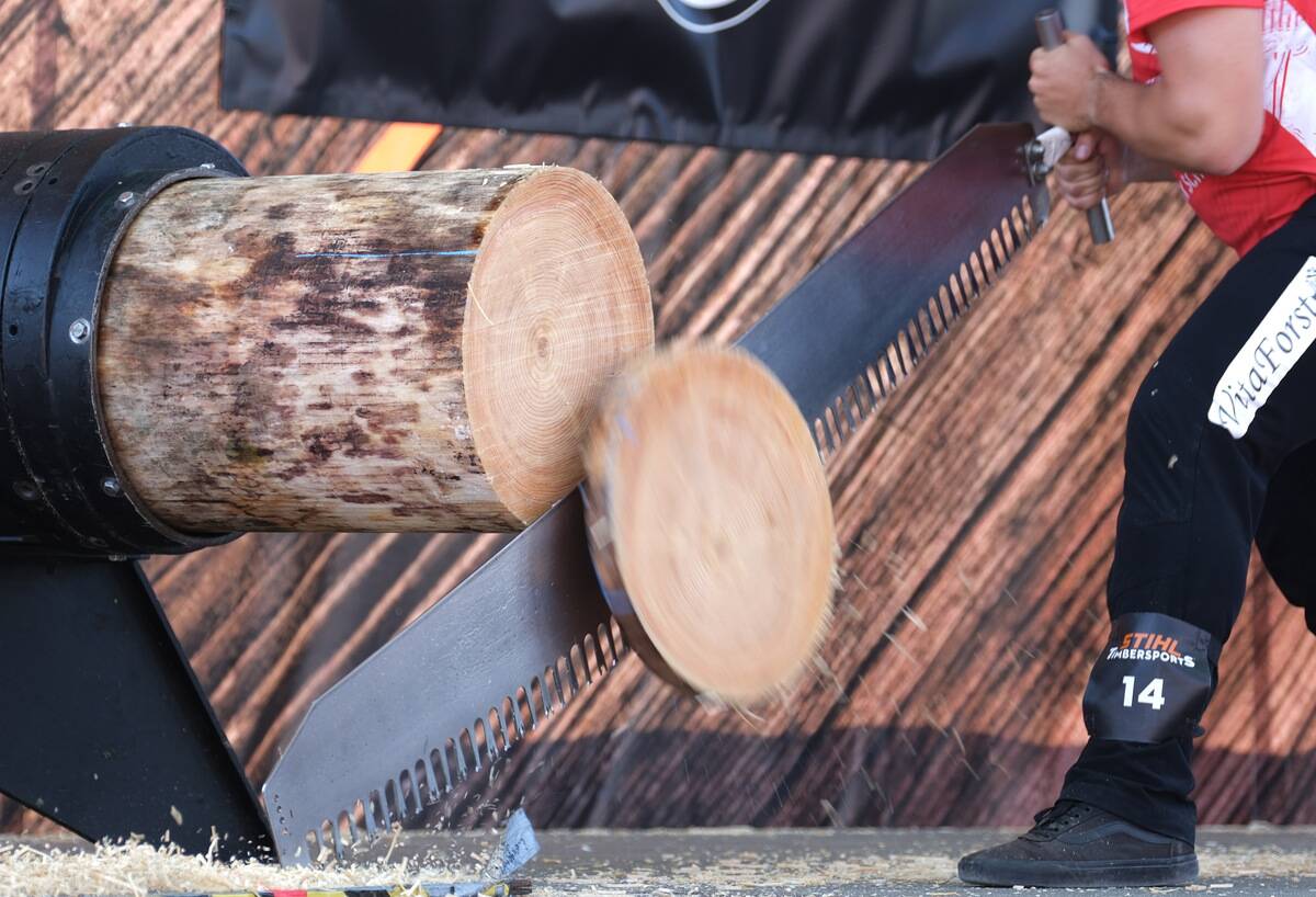 German championships in sports wood felling