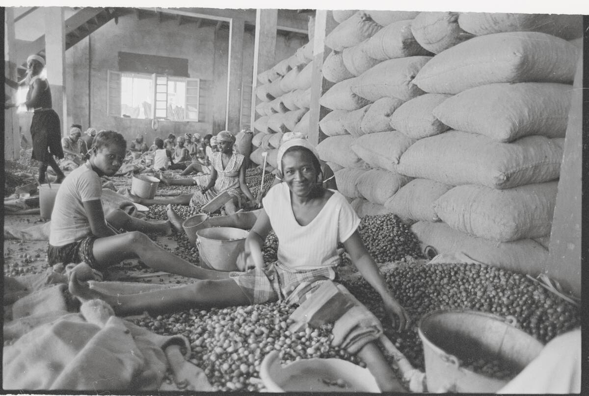 Grenadan Women Working in Factory