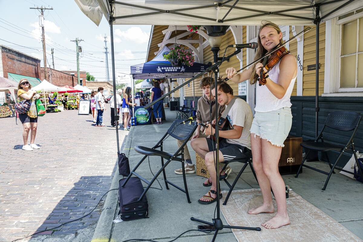 Hendersonville, North Carolina, Hendersonville Farmers Market, free live entertainment, mountain musicians playing fiddle guitar