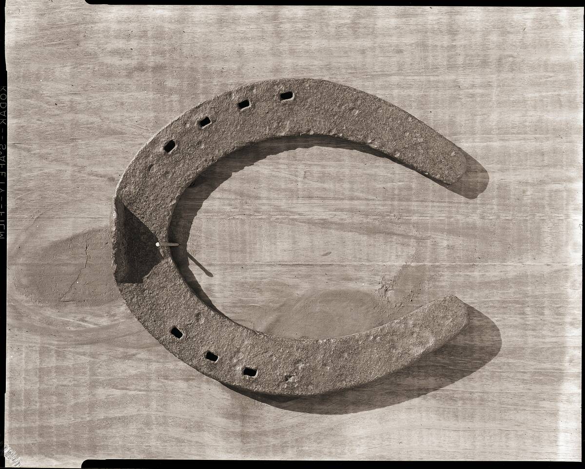 Horseshoe Hanging on a Nail