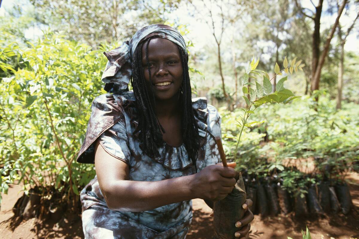 Kenyan activist Wangari Maathai