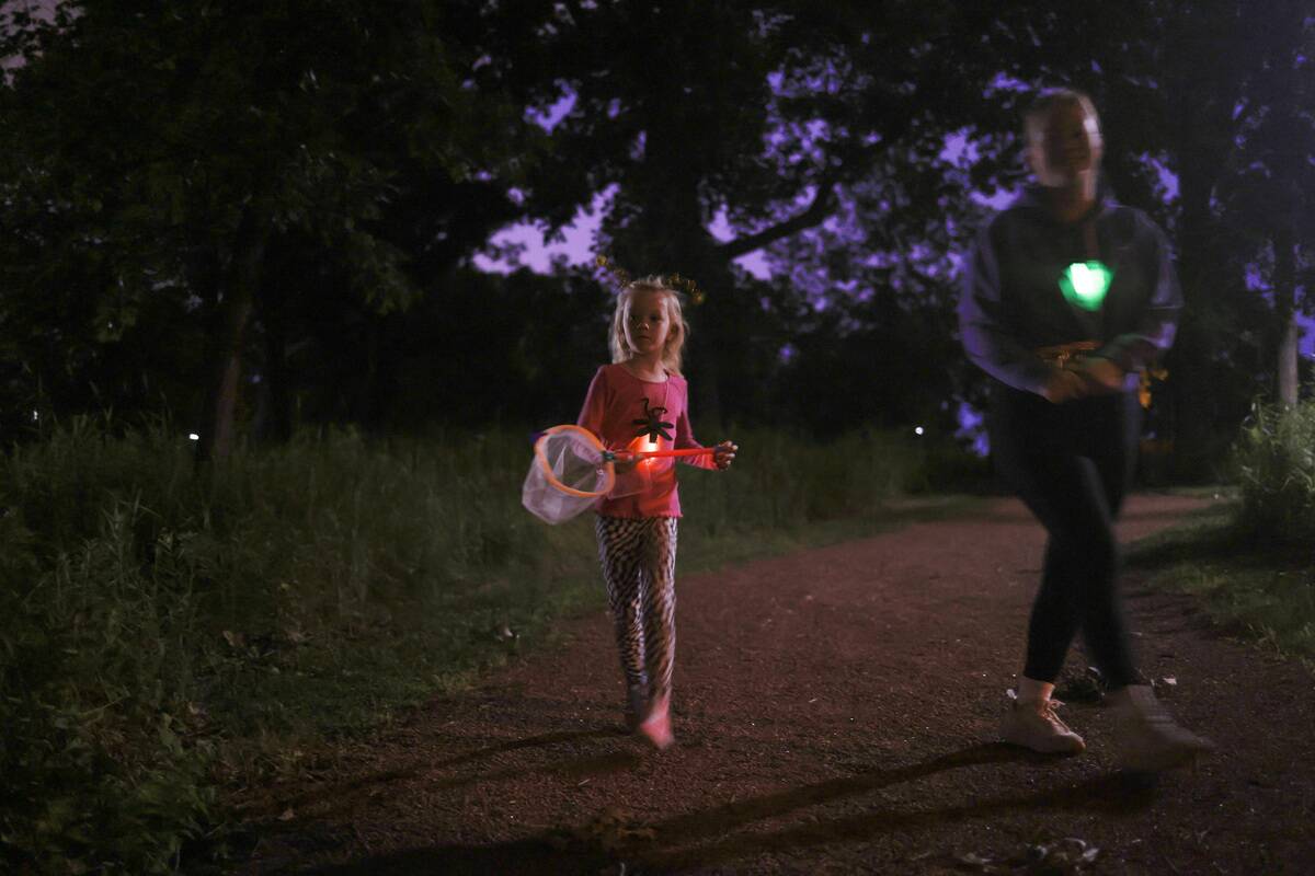 LIFE-ENV-FIREFLIES-TB