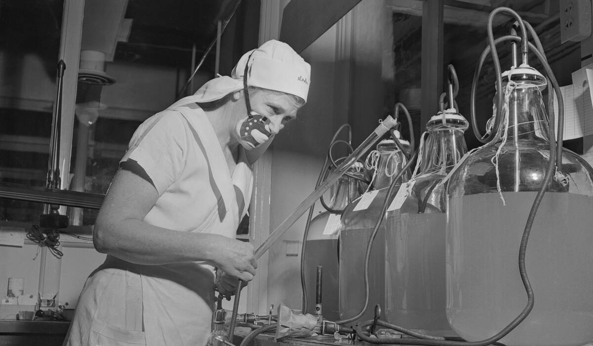 Marie Wooster Working with Vaccine