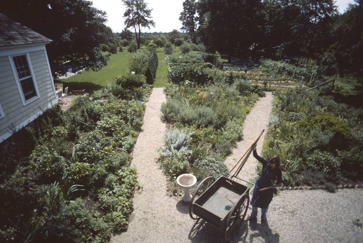 Martha Stewart At Home