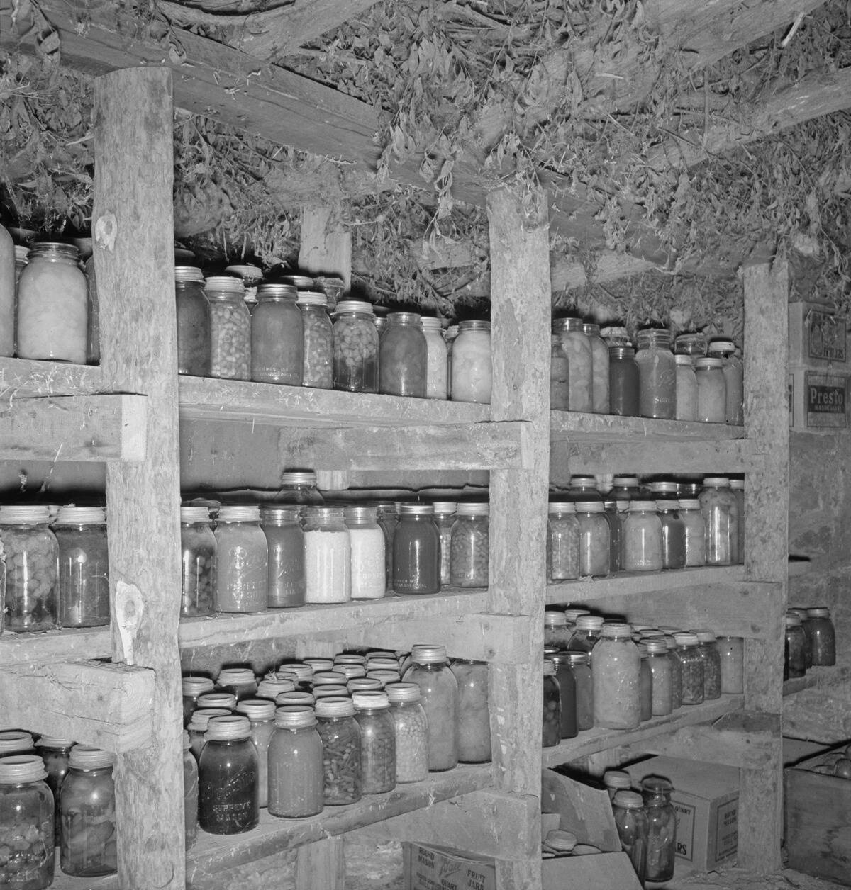 Mrs. Wardlow Has 500 Quarts Of Food In Her Dugout Cellar