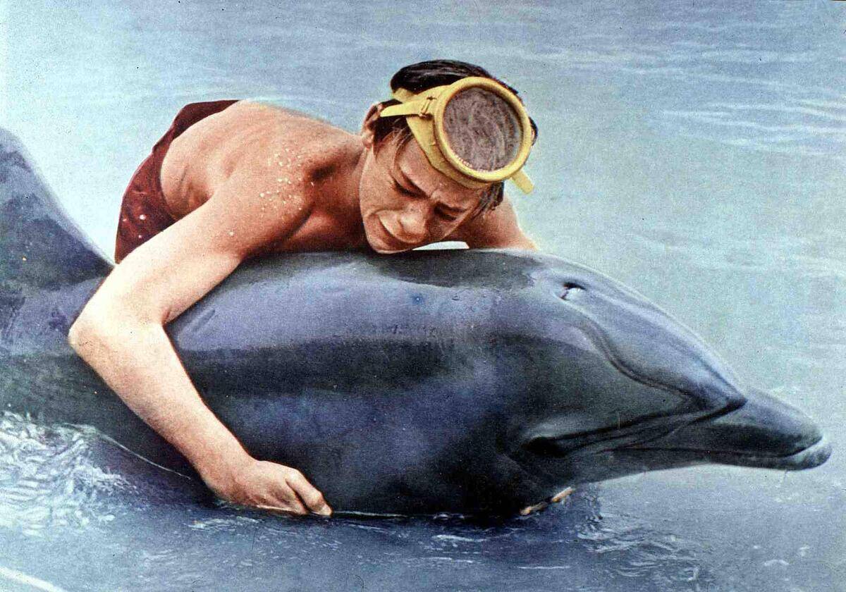 Neue Abenteuer Mit Flipper, 1960Er, Delphin, Film, Flipper'S New Adventure, Junge, Boy, Dolphin