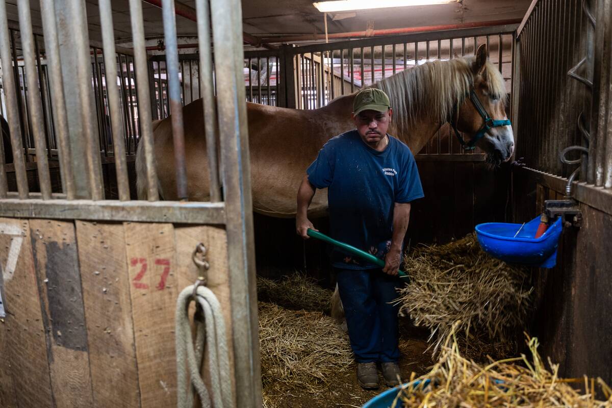 Protestors Rally Against NYC Horse Carriage Industry