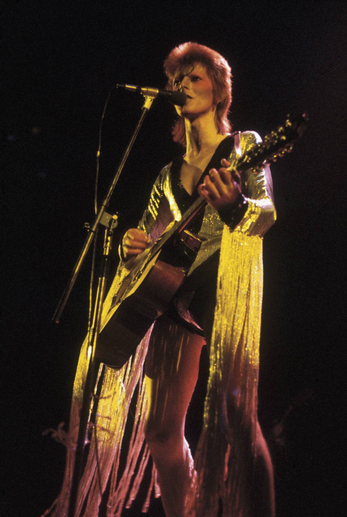 Stardust In Costume