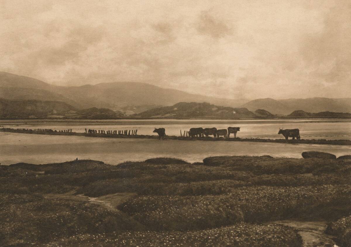 The Dovey At Ynyslas, 1902