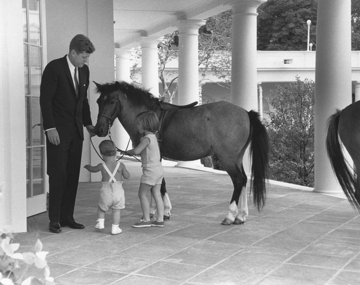 The Kennedys & Macaroni