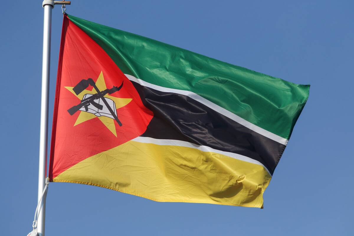 The national flag of the Republic of Mozambique, fluttering...