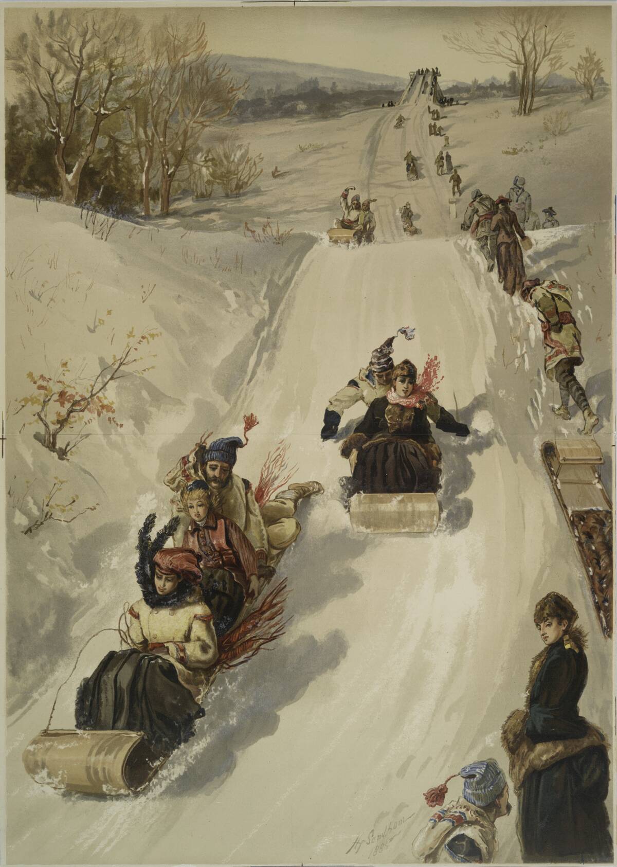 The Sledding