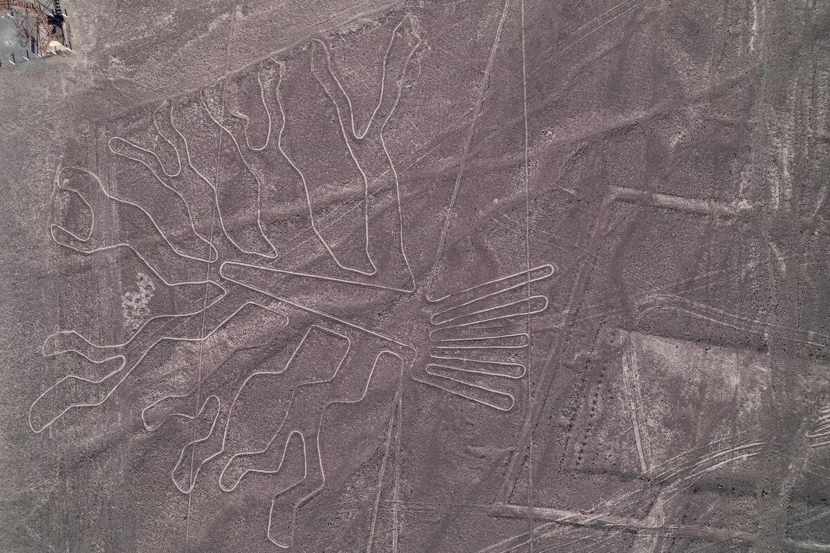 TOPSHOT-PERU-ARCHAEOLOGY-NAZCA