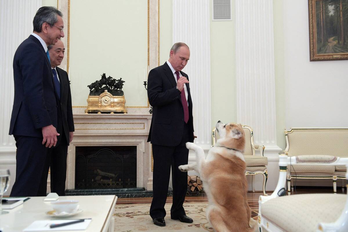 TOPSHOT-RUSSIA-JAPAN-PUTIN-INTERVIEV